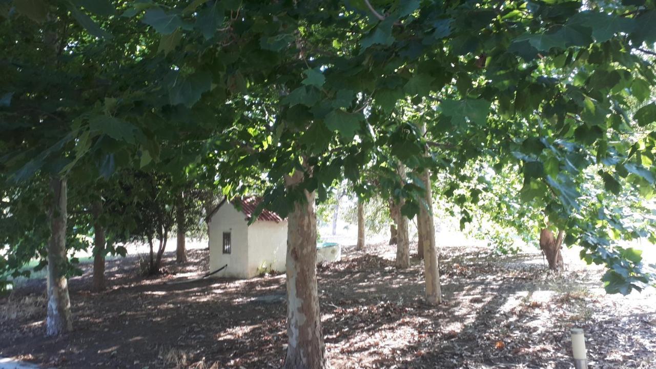 Villa Dunes 350M From The Sandy Beach Kalogria  Exterior foto