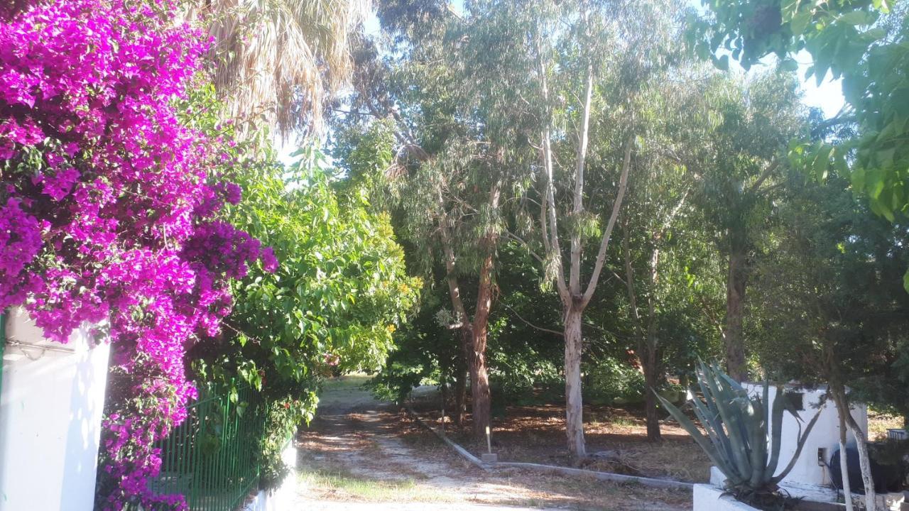 Villa Dunes 350M From The Sandy Beach Kalogria  Exterior foto