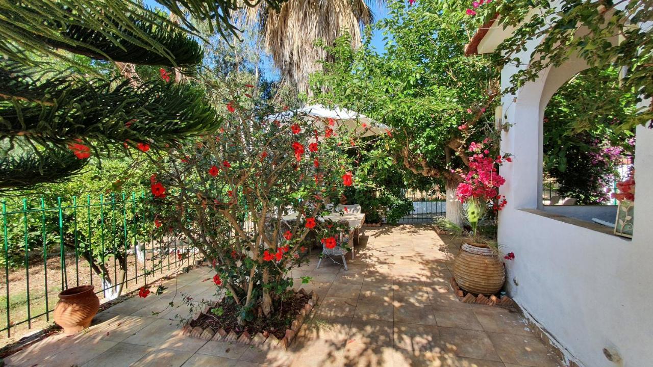 Villa Dunes 350M From The Sandy Beach Kalogria  Exterior foto